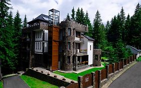 Castelul de Piatra